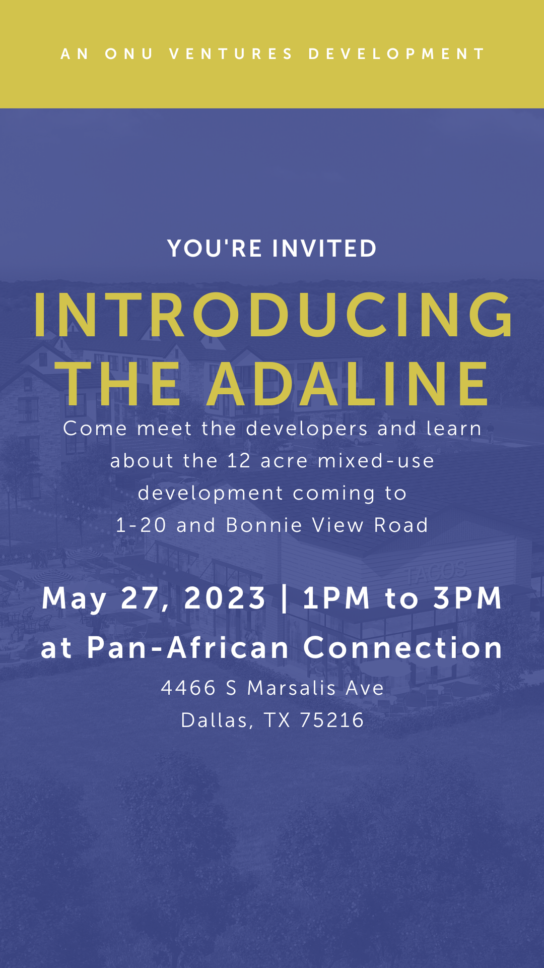 The Adaline Q & A at Pan-African Connection